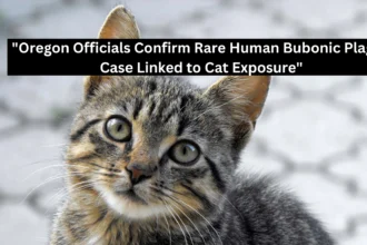 "Oregon Officials Confirm Rare Human Bubonic Plague Case Linked to Cat Exposure"