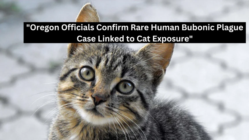 "Oregon Officials Confirm Rare Human Bubonic Plague Case Linked to Cat Exposure"